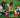 Three children building with colorful jumbo building blocks on green grass. 