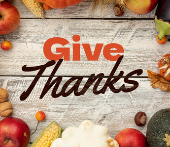 Building Gratitude: Thanksgiving-Themed Fun with Biggo Blocks