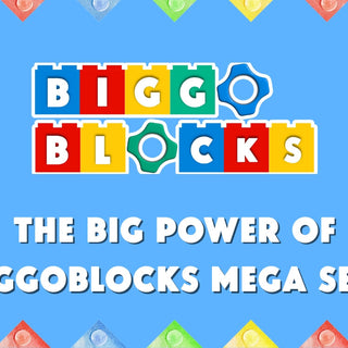 The Big Power of BiggoBlocks Mega Sets
