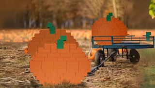 Fall into Fun: Build a Pumpkin with Biggo Blocks!